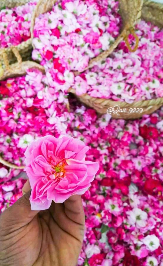 Roses House Oman Villa Jabal al Akhdhar Luaran gambar