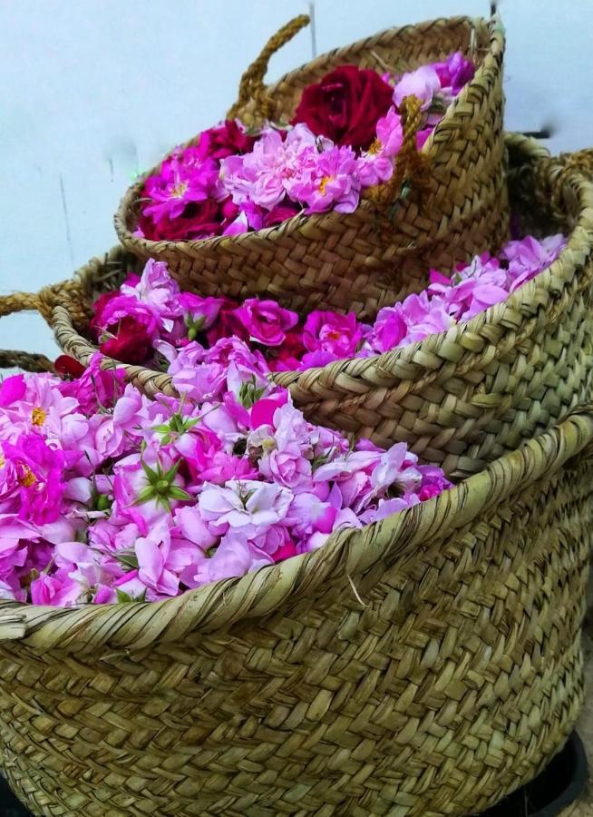 Roses House Oman Villa Jabal al Akhdhar Luaran gambar