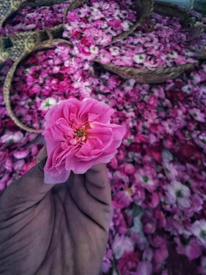 Roses House Oman Villa Jabal al Akhdhar Luaran gambar